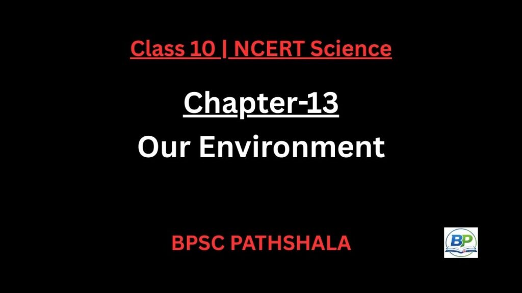 NCERT Class 10 Science Chapter 13 our environment notes