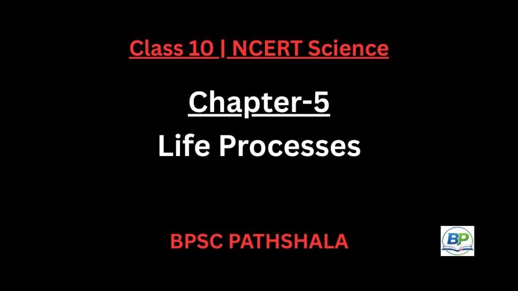NCERT Class 10 Science Chapter 5 life processes notes