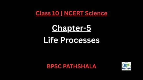 NCERT Class 10 Science Chapter 5 – Life Processes (Notes for CBSE ...